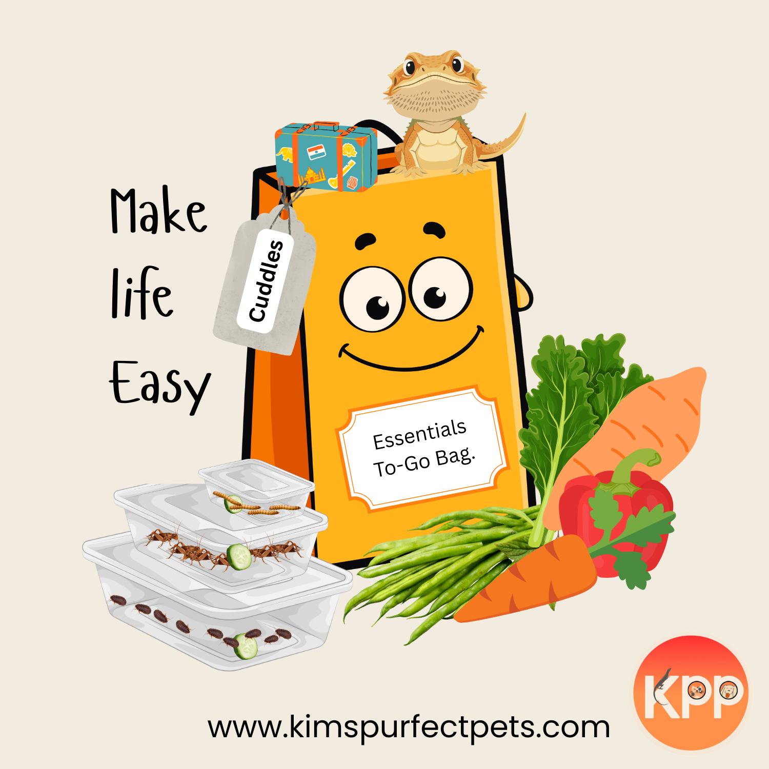 Essentials To-Go Bag (3)